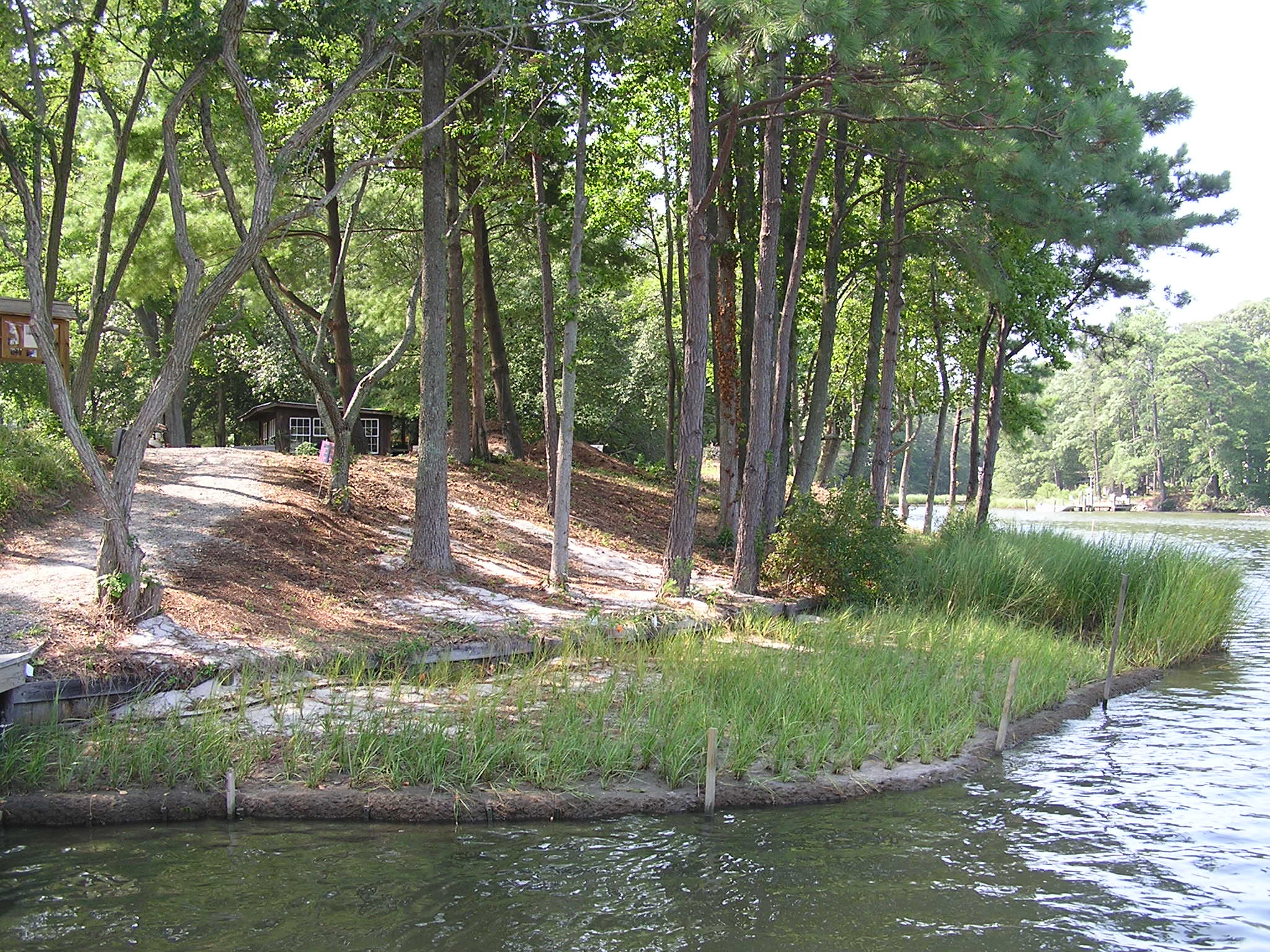 marsh with fiber logs